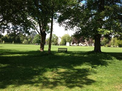 Picture 23